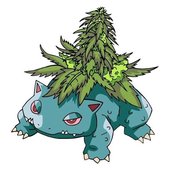 SAURR 