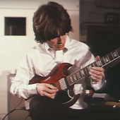 sgttpepper 的头像