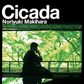 Cicada cover from spotify