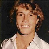  Andy Gibb