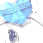 Avatar for shnobbble