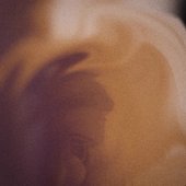 IMG_20240202_002352.jpg