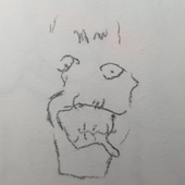 Pearsrs 的头像