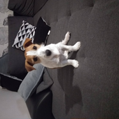 xxxtutorialsxxx 的头像
