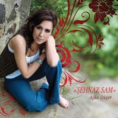 Aşka Düşer