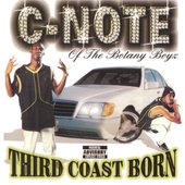 Third Coast Born