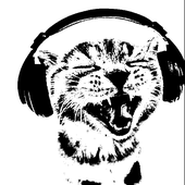 Avatar for asfsas