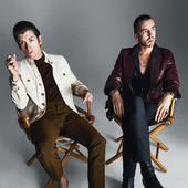 The Last Shadow Puppets