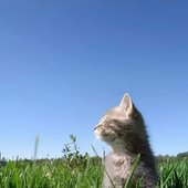 IMG_7800.jpeg
