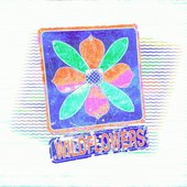 wildflowers