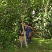 IMG_0203.jpeg