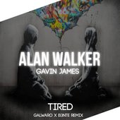 Alan Walker, Gavin James