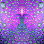 Avatar for Ultravod