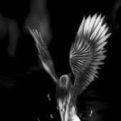 artworks-eHqsFdJc9WiSzgVn-IUJg2w-t1080x1080.jpg