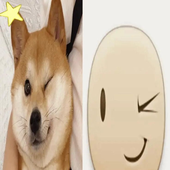 corgz 的头像