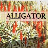 ALLIGATOR - K7 artwork