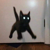 Avatar for MeowMeow009