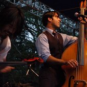 Avett cello bass