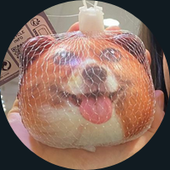 cavestani1 的头像
