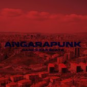 AngaraPunk