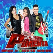 Banda Açai Pimenta