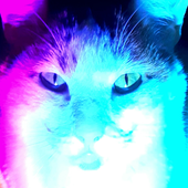 Avatar for louieeee