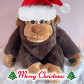 Hank_The_Monkey 的头像