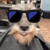 GQw6C0OXYAA7vpV.png