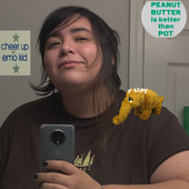 12047931.png