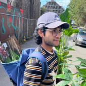 Avatar for Purqle