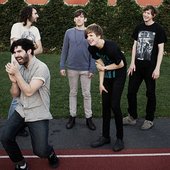 foals.