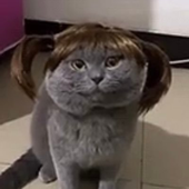 tu4n 的头像