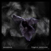 Fragile Existence - Single