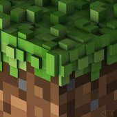 Minecraft Volume Alpha / Minecraft Volume Beta