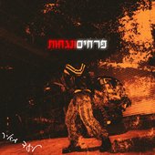 פרחים ונגחות