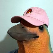 3a7f18c2-1239-4ba1-947f-8dd0d09f8e8e.png