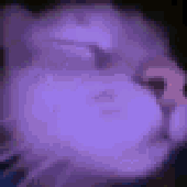 Avatar for Scarletc9
