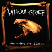 1999 - Absorbing The Ashes