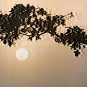 a1744520955_10.jpg