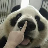 cxsmxc 的头像