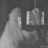 bananaSLOTH