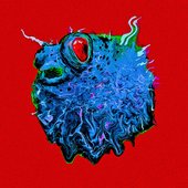 Toxo