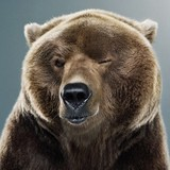 Avatar for Big_Niko