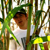 Jason Reeves