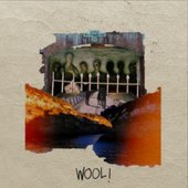 wool!