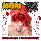 Aesthetic Principles of Reconstructive Surgery