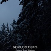 Olabezarko Basoen Bakardadea