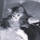 0030280983_0 2.jpg