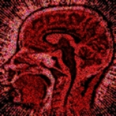 Neuralblast için avatar