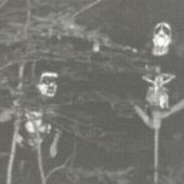 Devilish Era (fra)